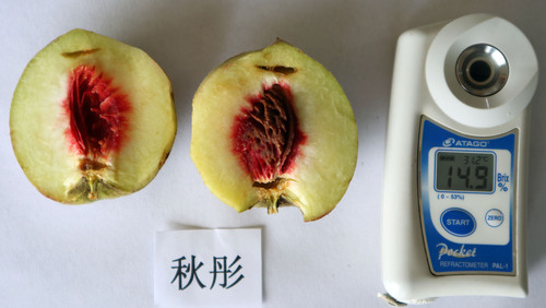 秋彤2019广2-2好(14点9).JPG