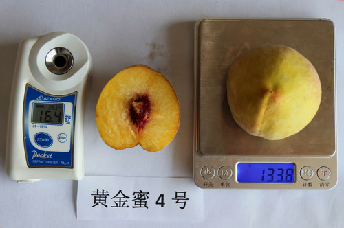 3(16度).jpg